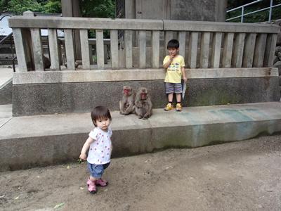 P5260567.jpg