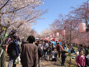 高尾さくら公園