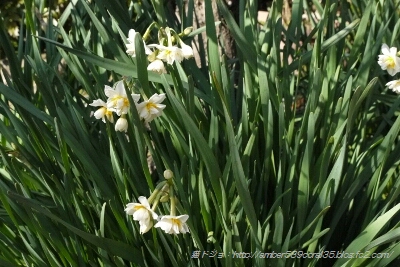fc2_2013-02-12_22-50-20-538.jpg