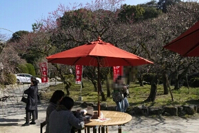 fc2_2013-02-12_22-51-38-539.jpg