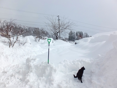 大雪2