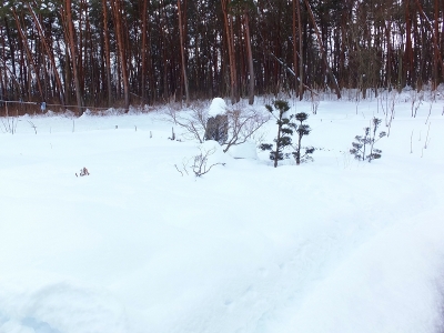 大雪5