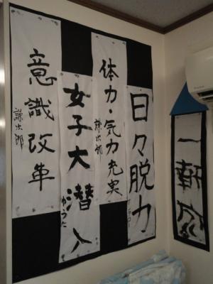 DSC02442.jpg