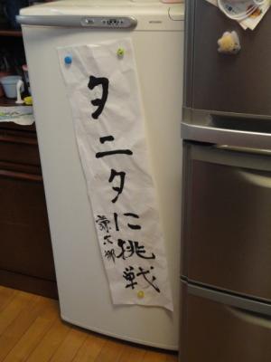DSC02446.jpg