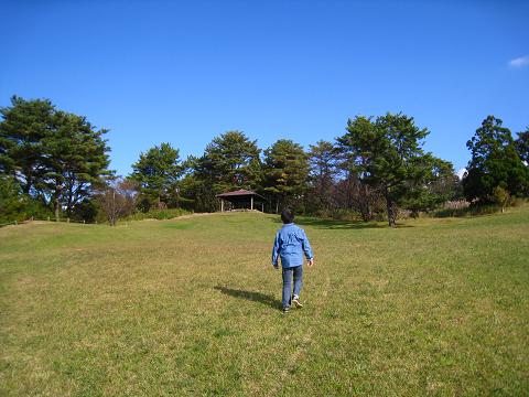 山登り