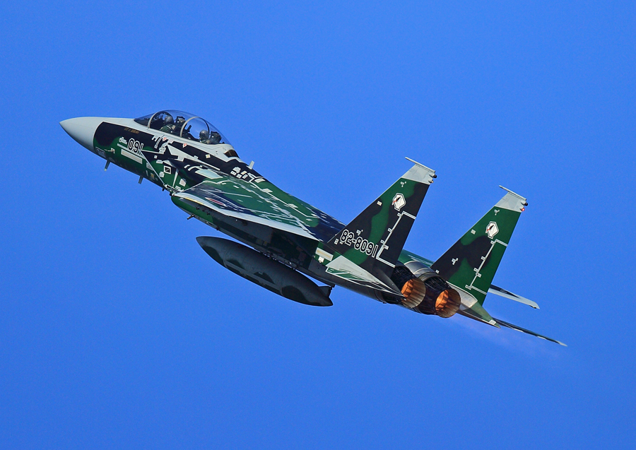 1N6A1207.jpg