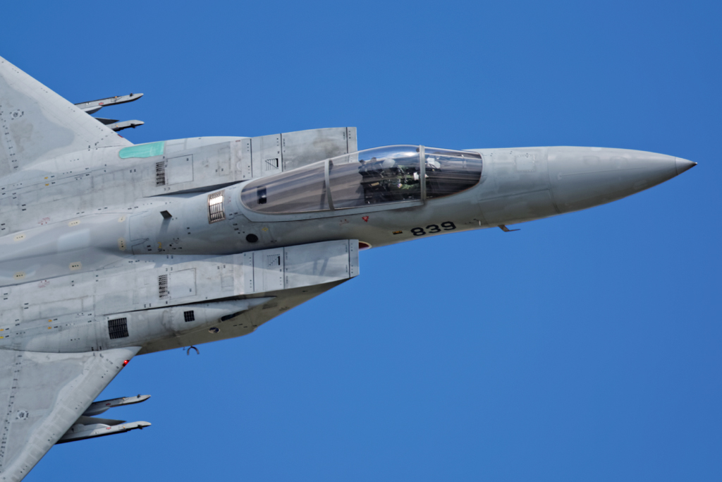 1N6A3394.jpg