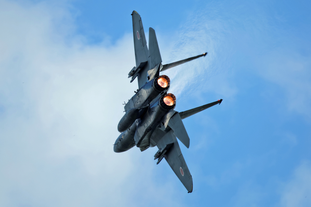1N6A3457.jpg