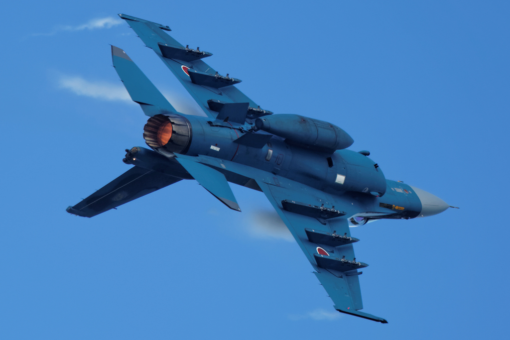 1N6A3688.jpg