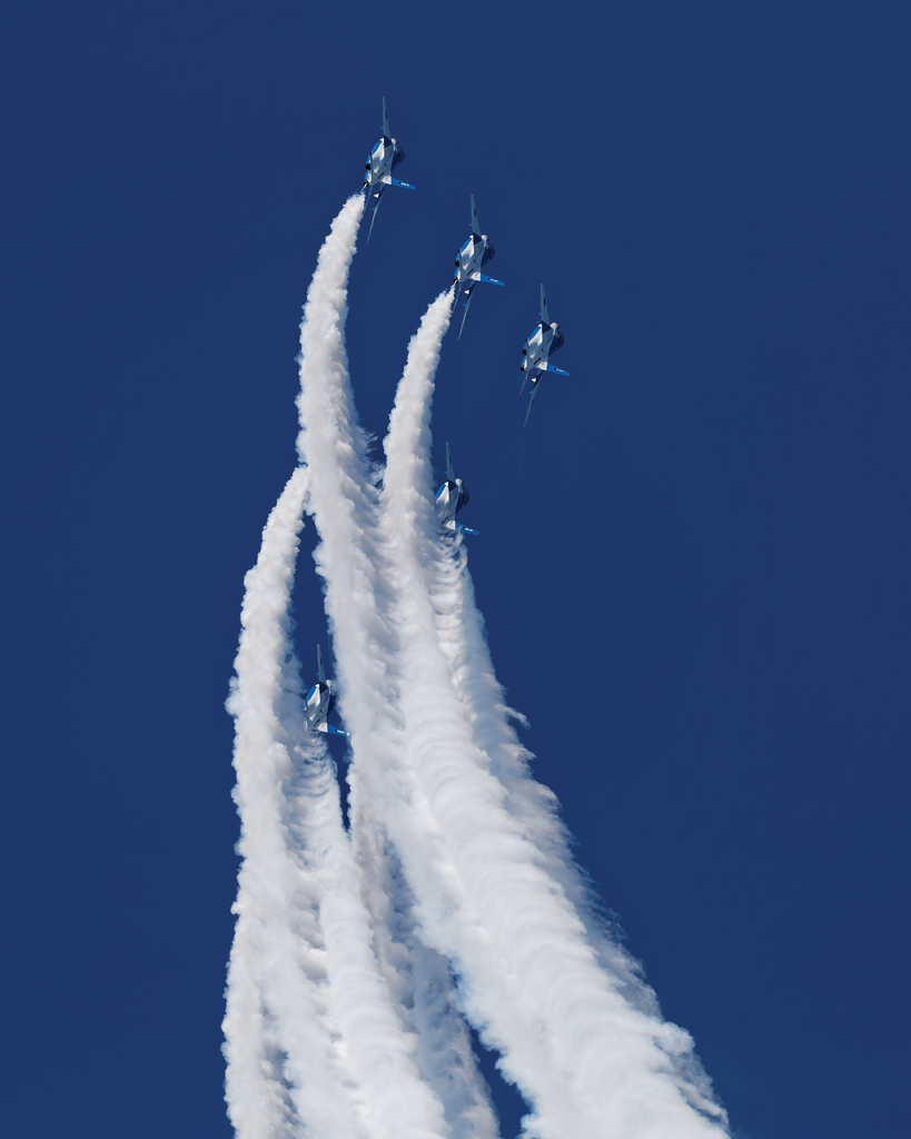 1N6A4785.jpg