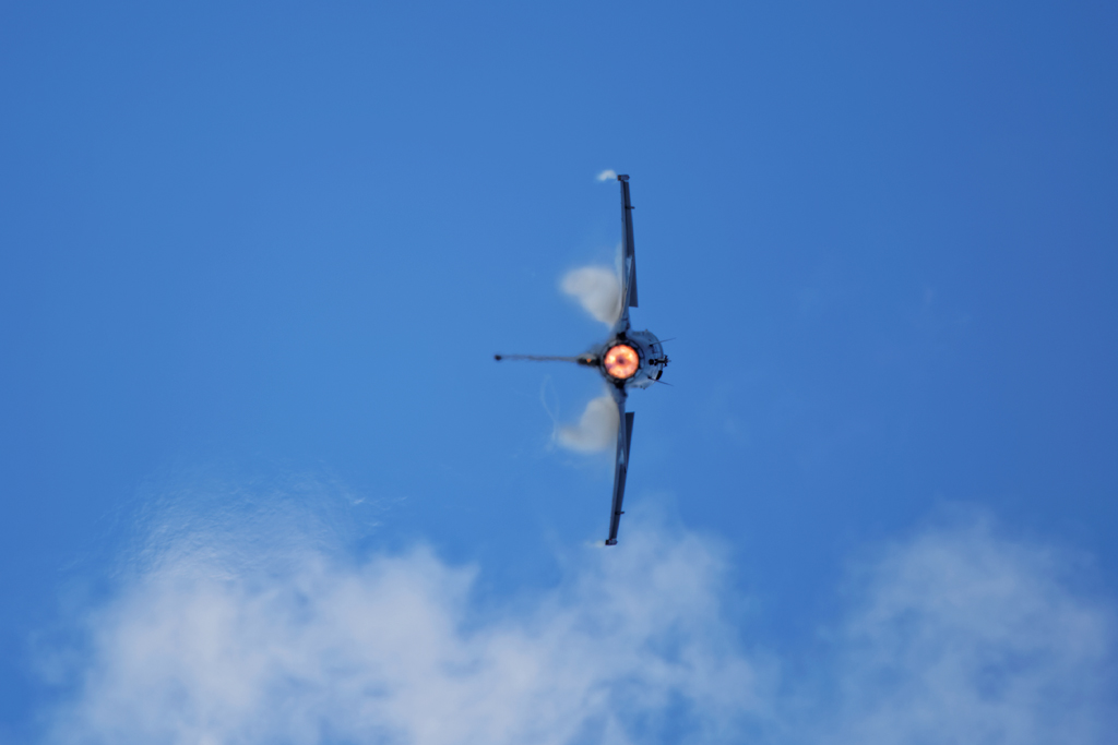 1N6A5109.jpg