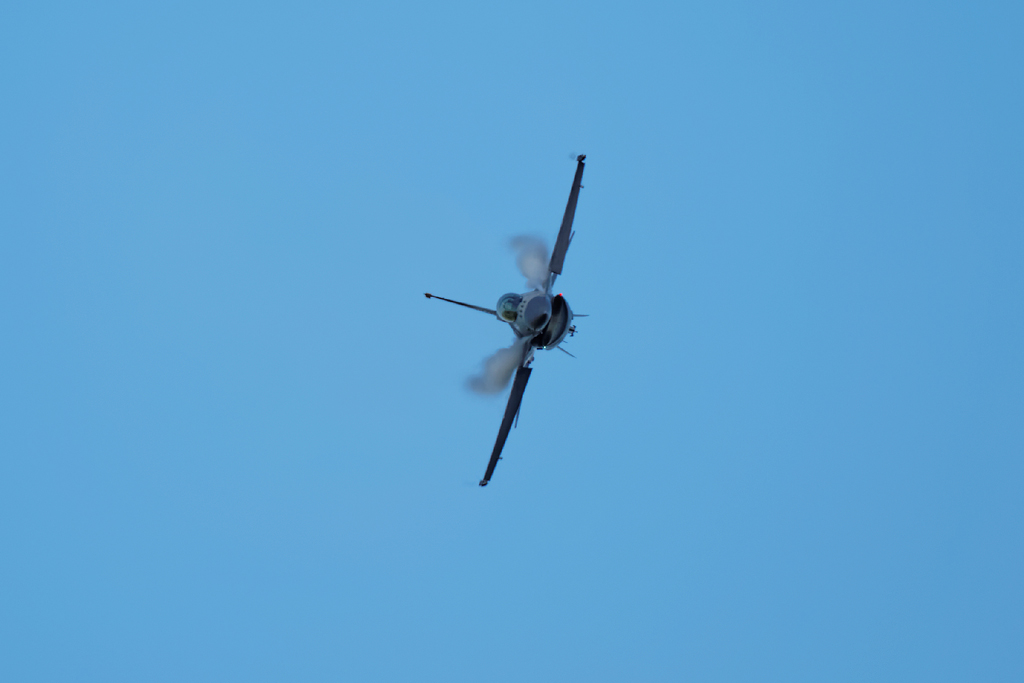 1N6A5131.jpg