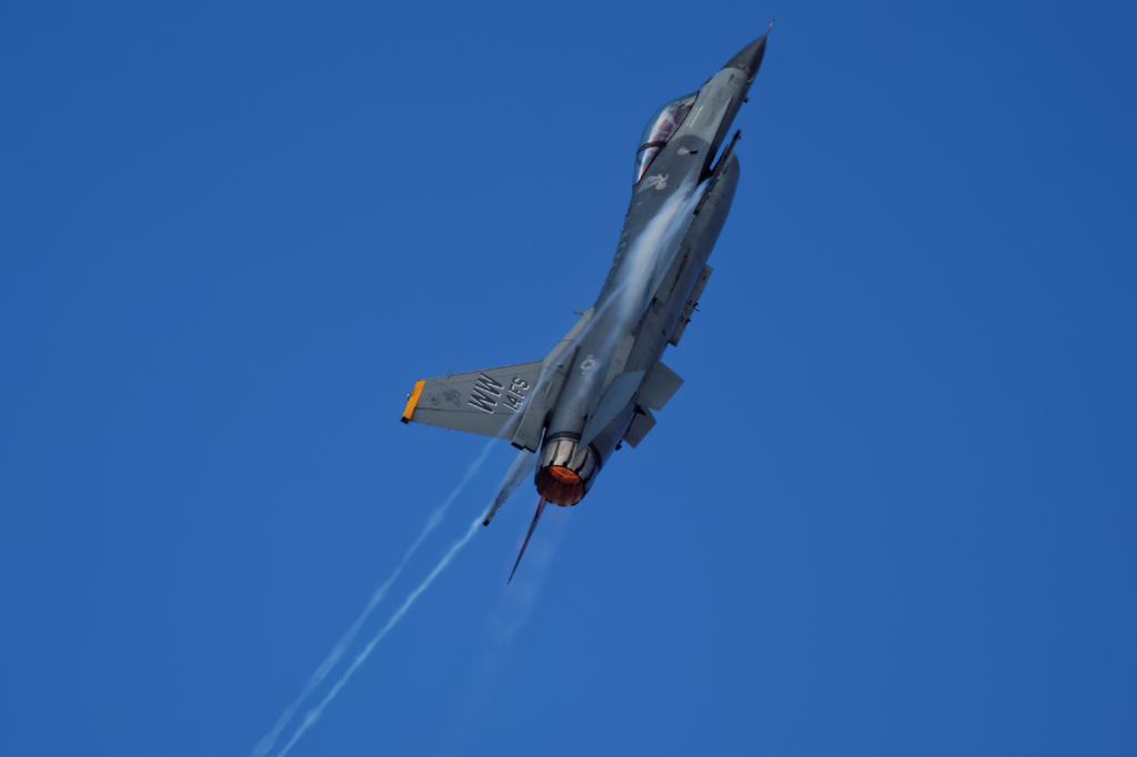 1N6A5200.jpg