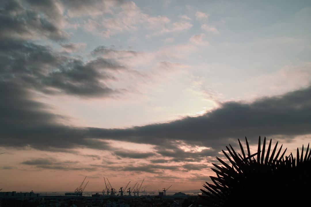 2011012902.jpg