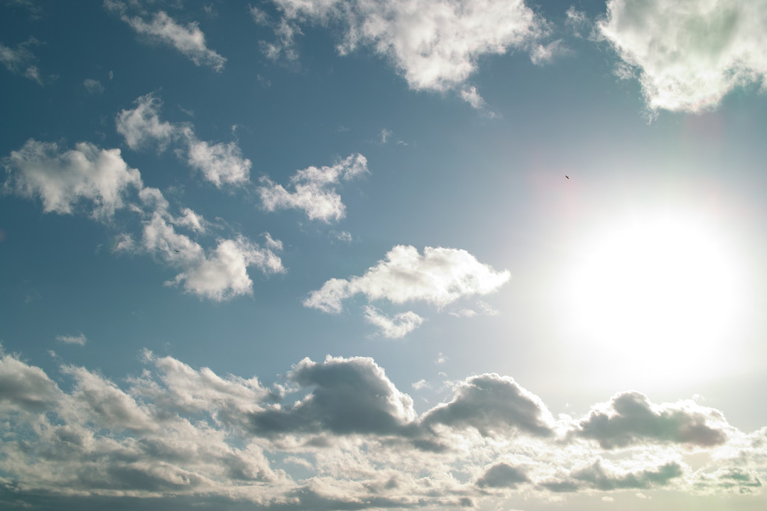 2011021302.jpg