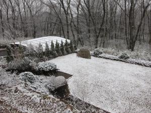 雪-1