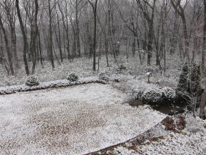 雪-2