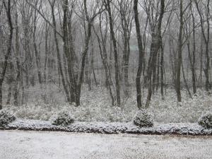 雪-3