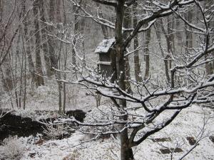 雪-4