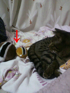 2011-11-27 19:50:46