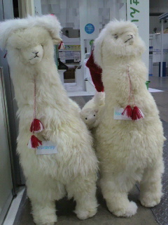 2011-12-15 20:47:43