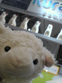 2011-12-15 20:48:11