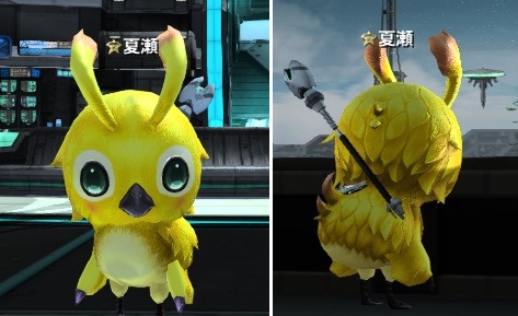 ラッピースーツ