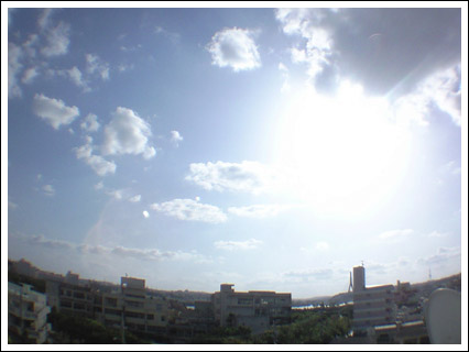 12032501.jpg