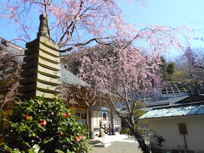 120408-3.jpg