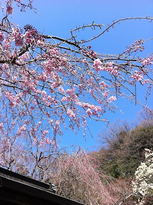 120408-7.jpg