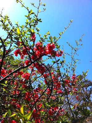 120408-8.jpg