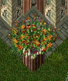 120403.jpg
