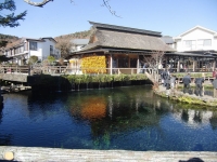 忍野八海03CIMG4563