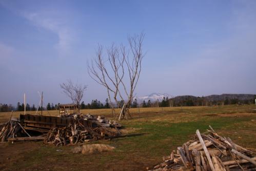 IMG_9655.jpg