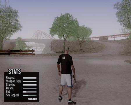 Minor amendment of the camera position ss1