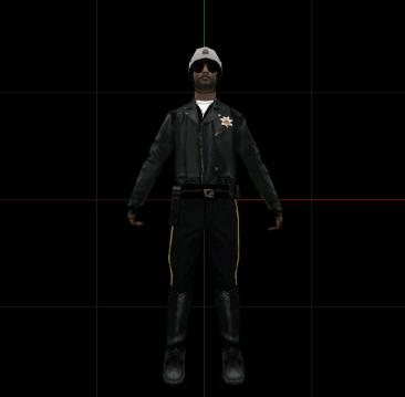lapdm1.jpg
