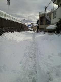 moblog_5764cc46.jpg