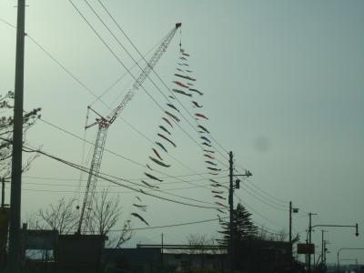 1_20120429182738.jpg