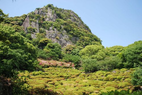 DSC_7637-1-1.jpg