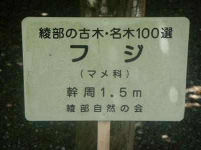 綾部熊野新宮神社にて