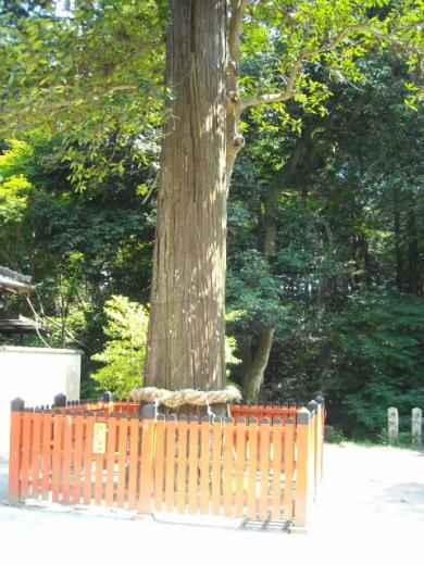 鷺の森神社にて