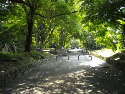 鷺の森神社にて