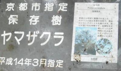 鷺の森神社にて