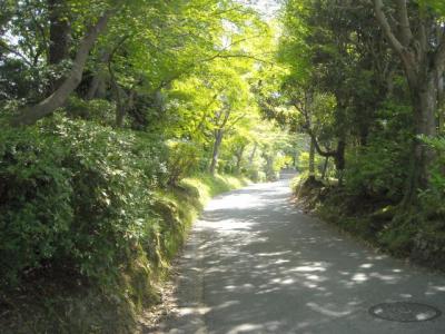 曼殊院門跡1