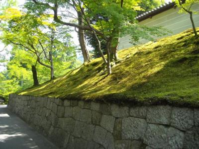曼殊院門跡4