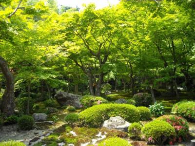 7.庭園 その1