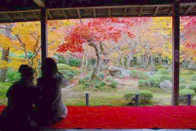.秋の紅葉は凄い