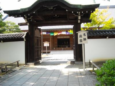 サツキ満開の智積院にて