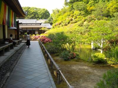 サツキ満開の智積院にて