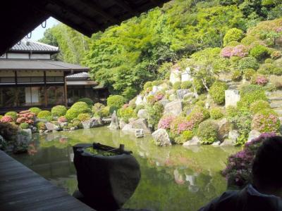 サツキ満開の智積院にて